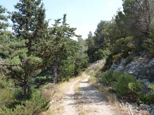 Provence_Les-Alpilles-022