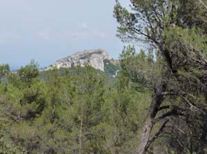 Provence_Les-Alpilles-024