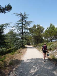 Provence_Les-Alpilles-026