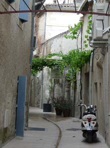 Provence_Les-Alpilles-043