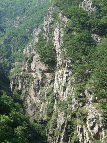 Gorges-de-la-Caranca-018