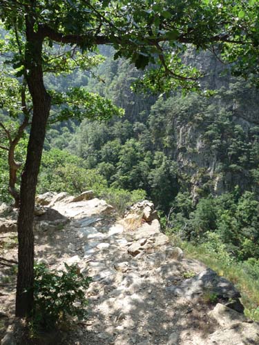 Gorges-de-la-Caranca-043