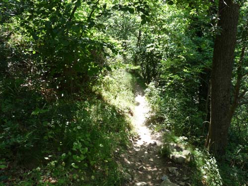 Gorges-de-la-Caranca-044