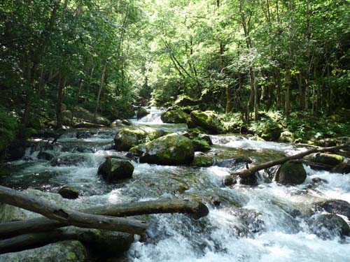 Gorges-de-la-Caranca-046