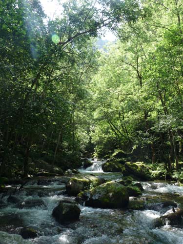 Gorges-de-la-Caranca-047