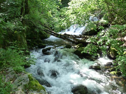 Gorges-de-la-Caranca-048