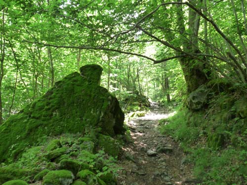 Gorges-de-la-Caranca-127