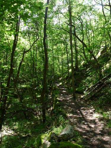 Gorges-de-la-Caranca-128