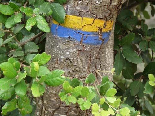 Queribus-Cucugnan_044