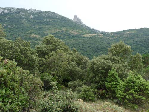 Queribus-Cucugnan_047