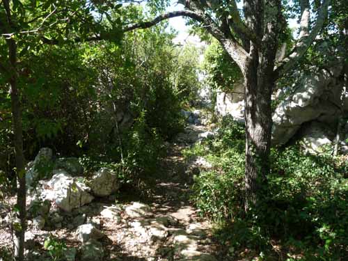 Cevennen_120906_734_Sauve_Vidourle