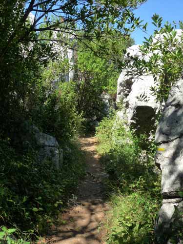 Cevennen_120906_738_Sauve_Vidourle