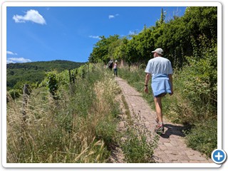 Vogesen-Rheininsel-Krozingen-06-07 13.14.37