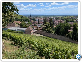 Vogesen-Rheininsel-Krozingen-06-07 13.16.37