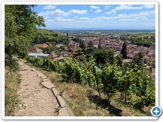 Vogesen-Rheininsel-Krozingen-06-07 13.17.52