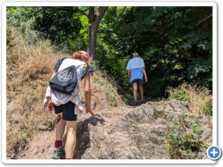Vogesen-Rheininsel-Krozingen-06-07 13.35.17
