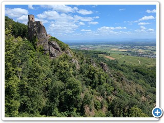 Vogesen-Rheininsel-Krozingen-06-07 13.45.51