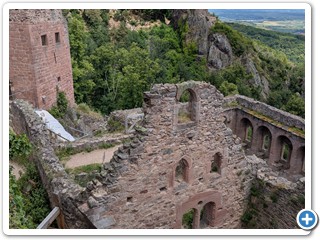 Vogesen-Rheininsel-Krozingen-06-07 13.52.06