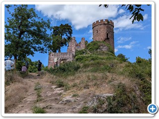 Vogesen-Rheininsel-Krozingen-06-07 14.16.40