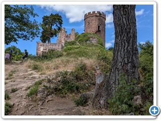Vogesen-Rheininsel-Krozingen-06-07 14.16.53