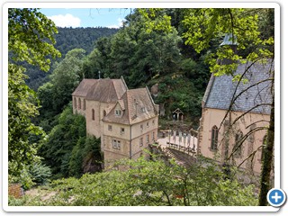 Vogesen-Rheininsel-Krozingen-06-07 15.14.23
