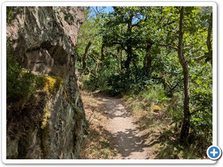 Vogesen-Rheininsel-Krozingen-06-07 15.28.09