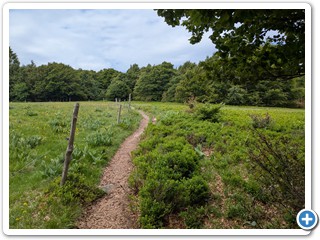 Vogesen-Rheininsel-Krozingen-06-06 14.26.01