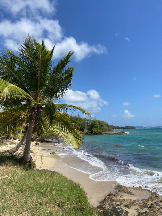Wandern auf Martinique