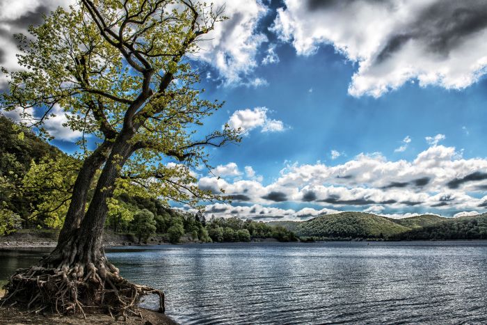 Naturpark Kellerwald-Edersee