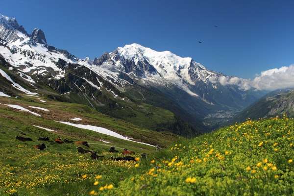 Wandern in Frankreich - Alpen