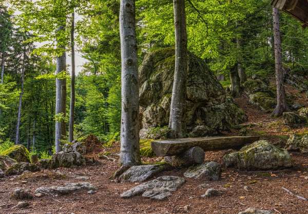 Nationalpark Bayerischer Wald