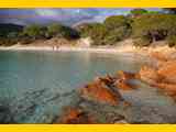 corsican-4590646_960_720