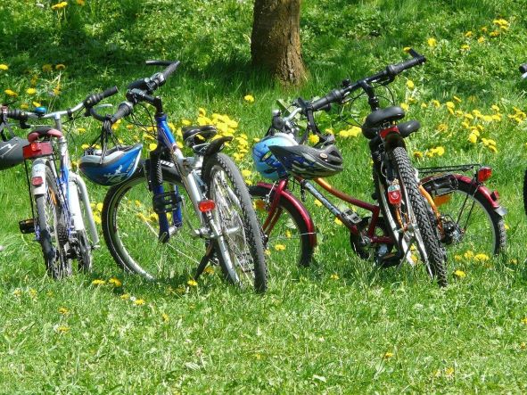 Radfahren im Schwarzwald