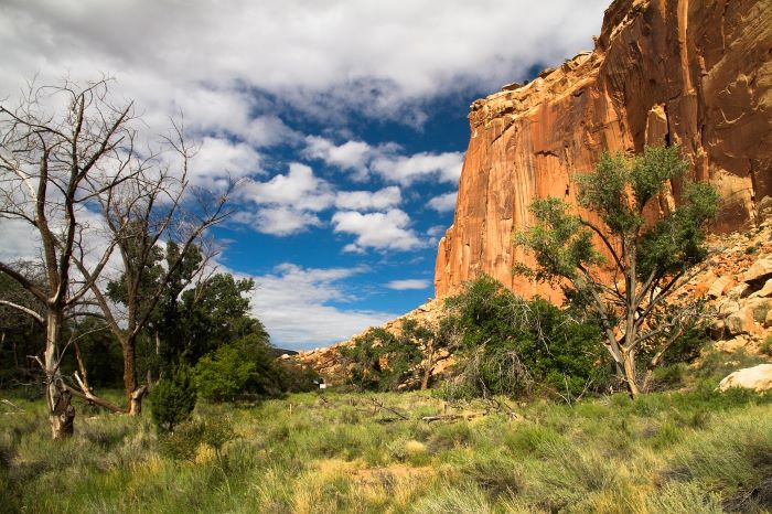 Capitol Reef Nationalpark