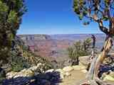 grand-canyon-53701