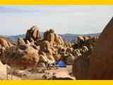 joshua_tree_camping-504661