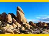 joshua-tree-national-park-74401_1280