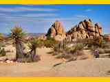 mojave-desert-3253924_1280