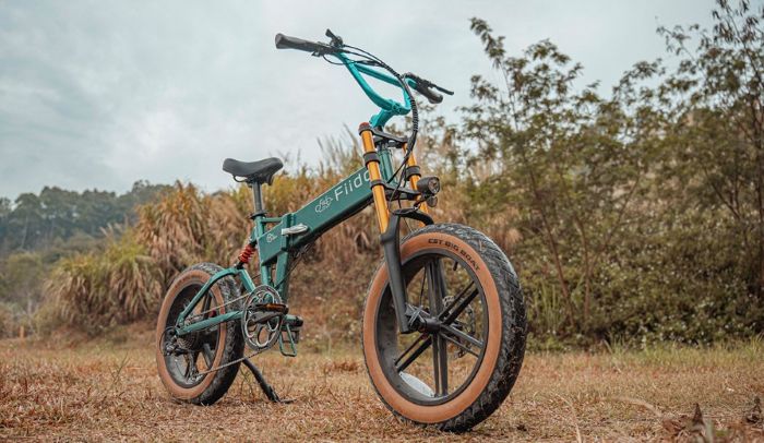 Preiswerte E-Bikes - Stärken und Schwächen