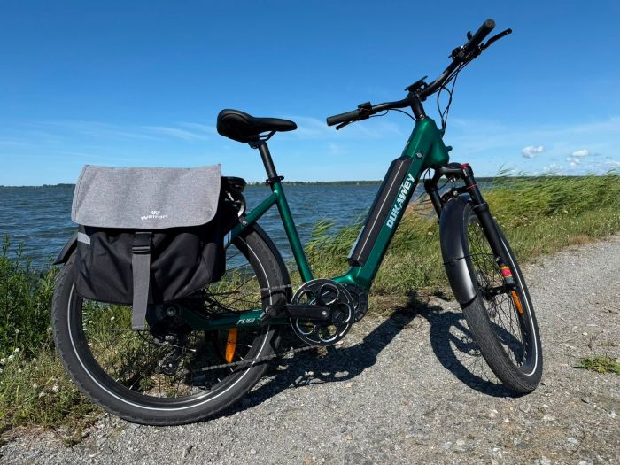 City E-Bike Dukawey FUGL 3.0