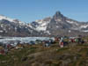 Groenland-Ost-0571