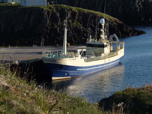 Island-Snaefellsnes-246