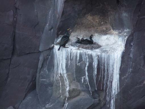 Island-Snaefellsnes-265