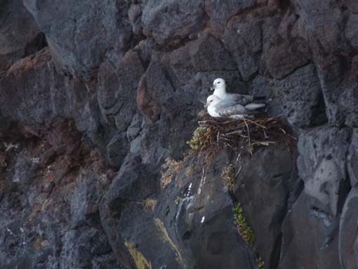 Island-Snaefellsnes-269