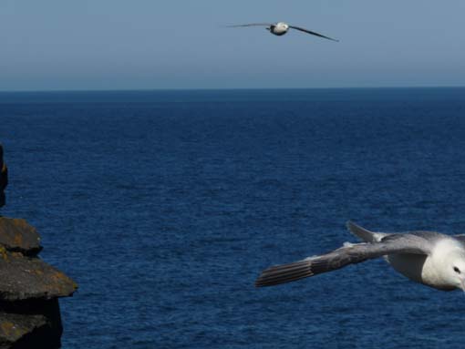 Island-Snaefellsnes-275