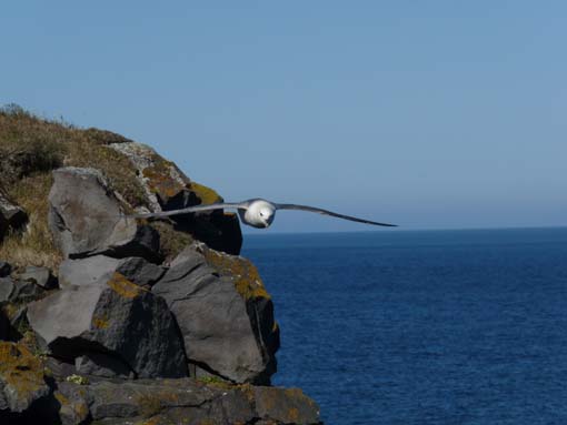 Island-Snaefellsnes-276