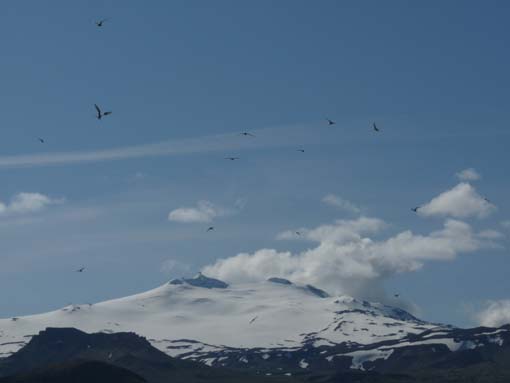 Island-Snaefellsnes-293