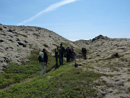 Island-Snaefellsnes-335