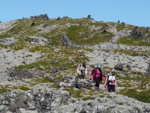 Island-Snaefellsnes-342