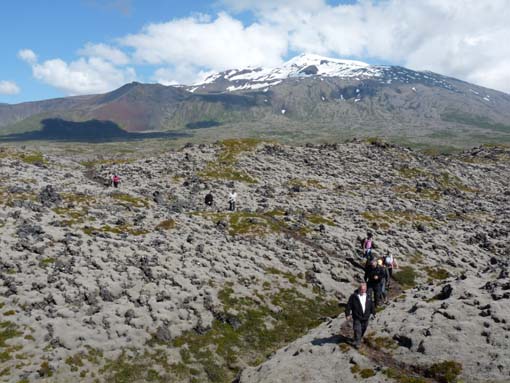 Island-Snaefellsnes-362